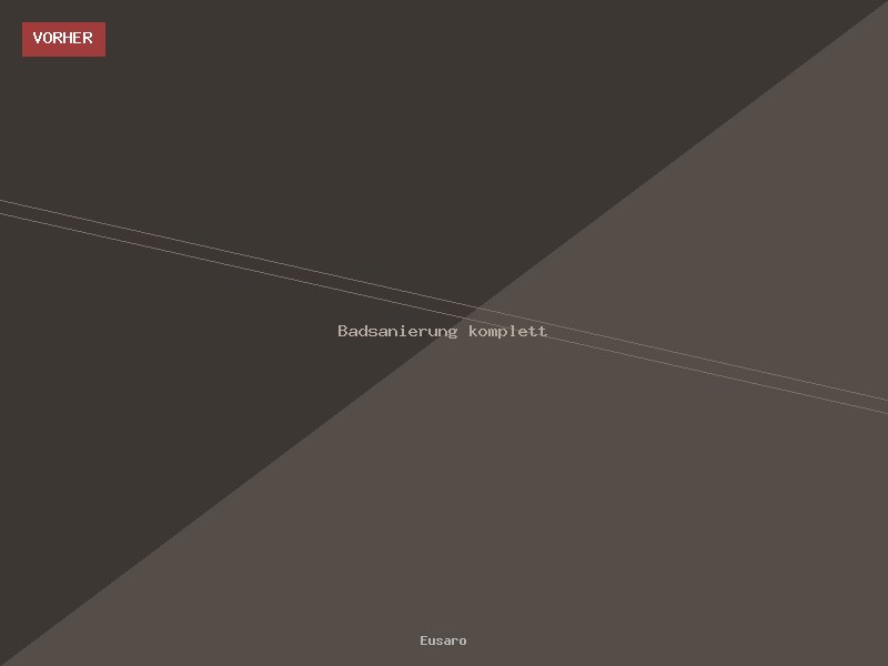 Badezimmer vor der Sanierung – Eusaro